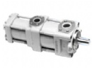 QT6262-125-100F QT Series Double Gear Pump