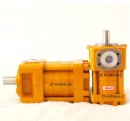 Hydraulic internal gear pump NBZ2-G10F, high pressure type